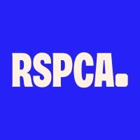 RSPCA is using Lyssna