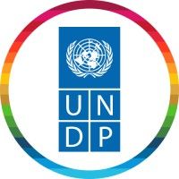 UNDP is using Digify