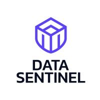 Data Sentinel is using Salesfinity